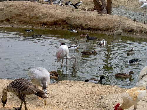 Caada de los Pjaros - Sevilla - Foto 138