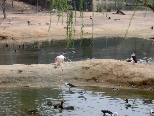 Cañada de los Pájaros - Sevilla - Foto 139