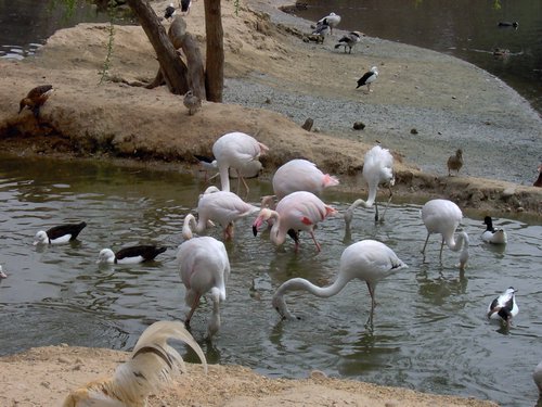Caada de los Pjaros - Sevilla - Foto 140