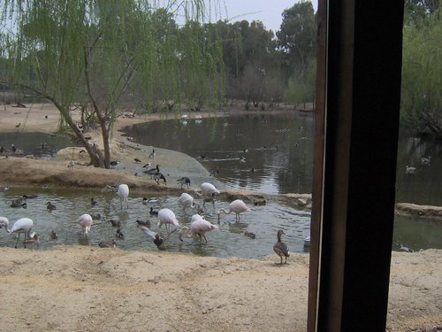 Caada de los Pjaros - Sevilla - Foto 143