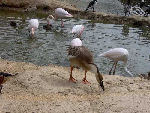 Caada de los Pjaros - Sevilla - Foto 144