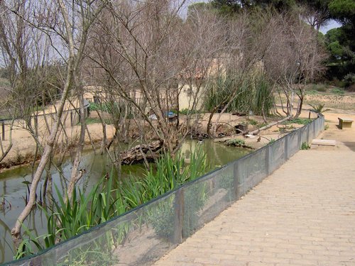 Caada de los Pjaros - Sevilla - Foto 151