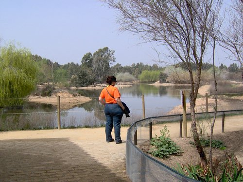Caada de los Pjaros - Sevilla - Foto 152
