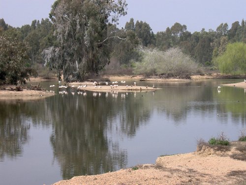 Caada de los Pjaros - Sevilla - Foto 154