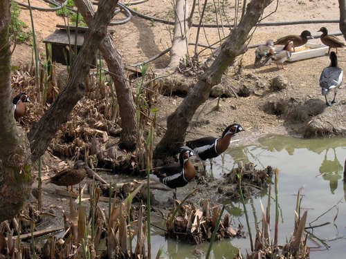 Caada de los Pjaros - Sevilla - Foto 156