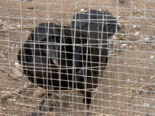 Caada de los Pjaros - Sevilla - Foto 159