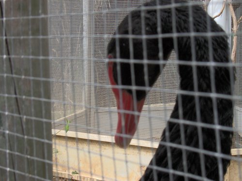 Caada de los Pjaros - Sevilla - Foto 161