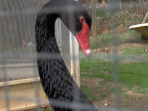 Caada de los Pjaros - Sevilla - Foto 162