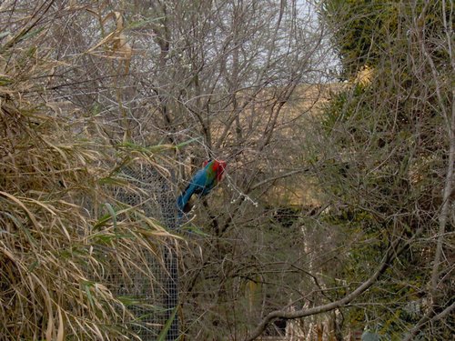 Caada de los Pjaros - Sevilla - Foto 164