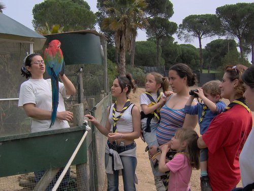 Caada de los Pjaros - Sevilla - Foto 171