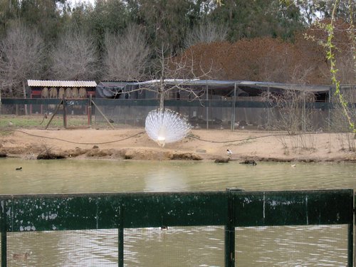 Caada de los Pjaros - Sevilla - Foto 174