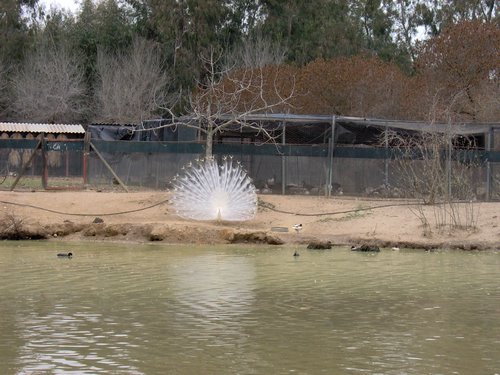 Caada de los Pjaros - Sevilla - Foto 175