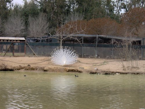 Caada de los Pjaros - Sevilla - Foto 176