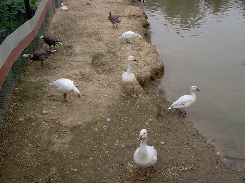 Caada de los Pjaros - Sevilla - Foto 178