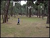 Colonia y Unidad en la Cañada de los Pájaros - Puebla del Río (Sevilla) 19 y 20 - marzo - 2005