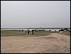 Colonia y Unidad en la Cañada de los Pájaros - Puebla del Río (Sevilla) 19 y 20 - marzo - 2005