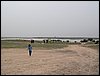 Colonia y Unidad en la Cañada de los Pájaros - Puebla del Río (Sevilla) 19 y 20 - marzo - 2005