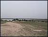 Colonia y Unidad en la Cañada de los Pájaros - Puebla del Río (Sevilla) 19 y 20 - marzo - 2005