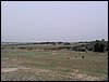 Colonia y Unidad en la Cañada de los Pájaros - Puebla del Río (Sevilla) 19 y 20 - marzo - 2005
