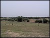 Colonia y Unidad en la Cañada de los Pájaros - Puebla del Río (Sevilla) 19 y 20 - marzo - 2005