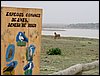 Colonia y Unidad en la Cañada de los Pájaros - Puebla del Río (Sevilla) 19 y 20 - marzo - 2005