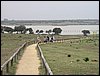 Colonia y Unidad en la Cañada de los Pájaros - Puebla del Río (Sevilla) 19 y 20 - marzo - 2005