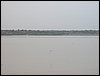 Colonia y Unidad en la Cañada de los Pájaros - Puebla del Río (Sevilla) 19 y 20 - marzo - 2005