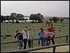 Colonia y Unidad en la Cañada de los Pájaros - Puebla del Río (Sevilla) 19 y 20 - marzo - 2005
