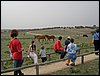 Colonia y Unidad en la Cañada de los Pájaros - Puebla del Río (Sevilla) 19 y 20 - marzo - 2005