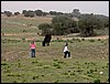 Colonia y Unidad en la Cañada de los Pájaros - Puebla del Río (Sevilla) 19 y 20 - marzo - 2005