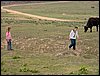 Colonia y Unidad en la Cañada de los Pájaros - Puebla del Río (Sevilla) 19 y 20 - marzo - 2005