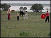 Colonia y Unidad en la Cañada de los Pájaros - Puebla del Río (Sevilla) 19 y 20 - marzo - 2005