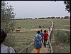 Colonia y Unidad en la Cañada de los Pájaros - Puebla del Río (Sevilla) 19 y 20 - marzo - 2005