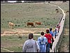 Colonia y Unidad en la Cañada de los Pájaros - Puebla del Río (Sevilla) 19 y 20 - marzo - 2005