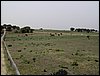 Colonia y Unidad en la Cañada de los Pájaros - Puebla del Río (Sevilla) 19 y 20 - marzo - 2005