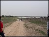 Colonia y Unidad en la Cañada de los Pájaros - Puebla del Río (Sevilla) 19 y 20 - marzo - 2005