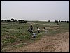Colonia y Unidad en la Cañada de los Pájaros - Puebla del Río (Sevilla) 19 y 20 - marzo - 2005