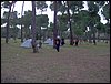 Colonia y Unidad en la Cañada de los Pájaros - Puebla del Río (Sevilla) 19 y 20 - marzo - 2005