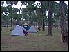 Colonia y Unidad en la Cañada de los Pájaros - Puebla del Río (Sevilla) 19 y 20 - marzo - 2005