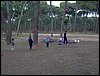 Colonia y Unidad en la Cañada de los Pájaros - Puebla del Río (Sevilla) 19 y 20 - marzo - 2005
