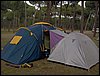 Colonia y Unidad en la Cañada de los Pájaros - Puebla del Río (Sevilla) 19 y 20 - marzo - 2005