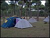 Colonia y Unidad en la Cañada de los Pájaros - Puebla del Río (Sevilla) 19 y 20 - marzo - 2005