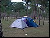 Colonia y Unidad en la Cañada de los Pájaros - Puebla del Río (Sevilla) 19 y 20 - marzo - 2005