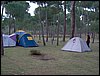 Colonia y Unidad en la Cañada de los Pájaros - Puebla del Río (Sevilla) 19 y 20 - marzo - 2005