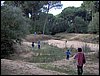 Colonia y Unidad en la Cañada de los Pájaros - Puebla del Río (Sevilla) 19 y 20 - marzo - 2005
