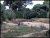 Colonia y Unidad en la Cañada de los Pájaros - Puebla del Río (Sevilla) 19 y 20 - marzo - 2005