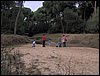 Colonia y Unidad en la Cañada de los Pájaros - Puebla del Río (Sevilla) 19 y 20 - marzo - 2005