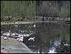 Colonia y Unidad en la Cañada de los Pájaros - Puebla del Río (Sevilla) 19 y 20 - marzo - 2005
