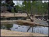 Colonia y Unidad en la Cañada de los Pájaros - Puebla del Río (Sevilla) 19 y 20 - marzo - 2005