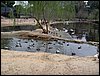 Colonia y Unidad en la Cañada de los Pájaros - Puebla del Río (Sevilla) 19 y 20 - marzo - 2005